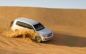 Desert Safari in Dubai (Basic)