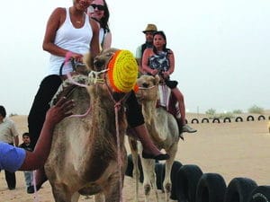 camel safari dubai