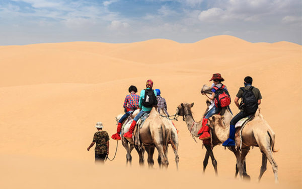Dubai desert camel ride