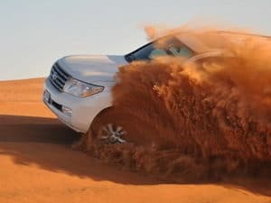 early morning safari dubai