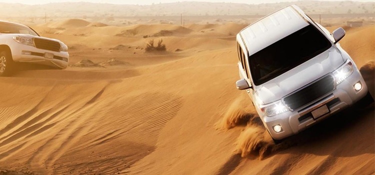 Choose The Best Dubai Desert Safari Package