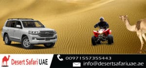 Morning Desert Safari 18