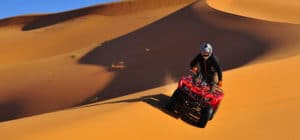 Morning Desert Safari 24
