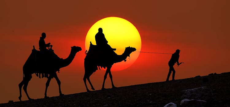 What To Expect? Desert Safari Tour in Dubai