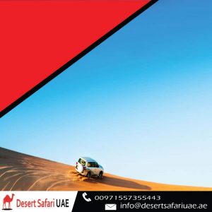 Choose the Best Dubai Desert Safari Package