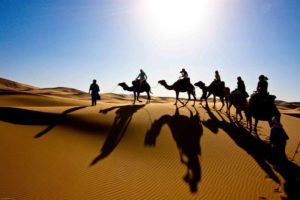 Desert Safari Deals and Cost