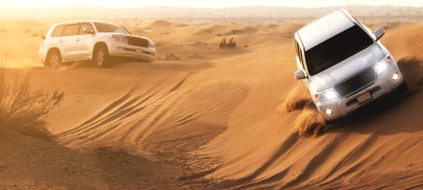 Morning Desert Safari and its activities