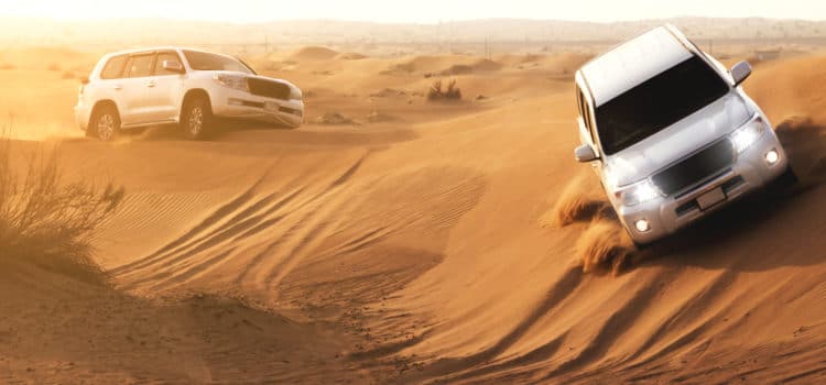 Morning Desert Safari and its activities