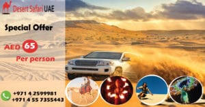 A memorable night at desert safari