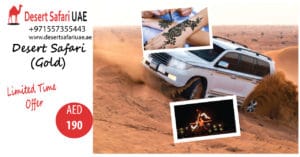 Desert Safari The Best Way To Spend Your Holidays