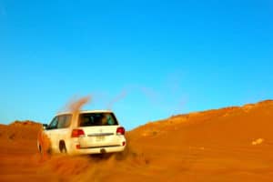 Enjoy The Dubai Camel Ride With Your Friends And Family