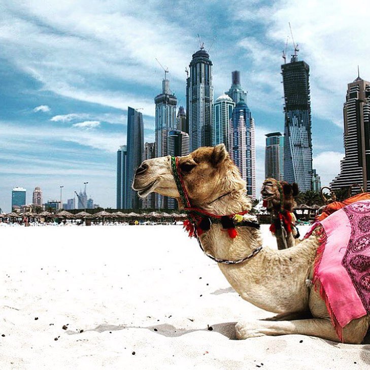 The Unseen Aspects of Desert Safari Dubai