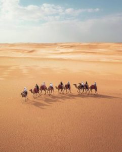 All The Details Regarding Evening And Morning Desert Safari
