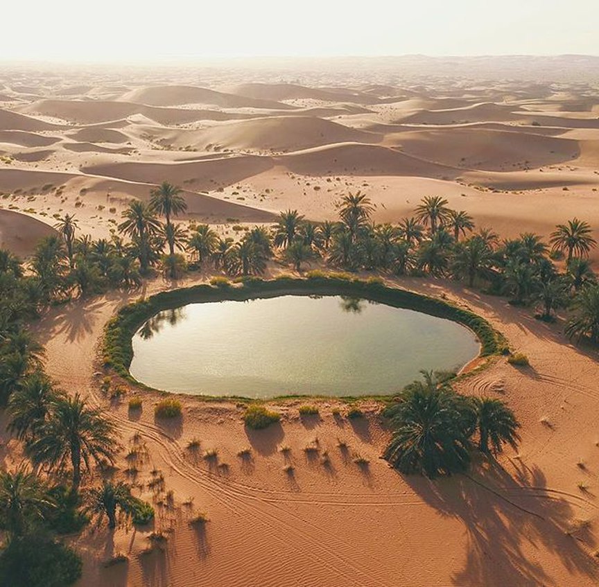 How You Can Explore The Mesmerizing Beauty Of The Desert
