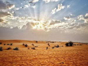 Desert Adventure Sports Activities in Desert Safari