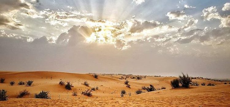 Desert Adventure Sports Activities in Desert Safari