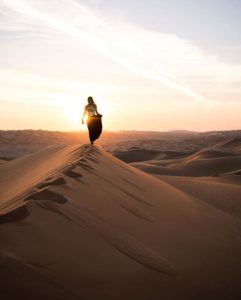Which One Is The Best Activity At Desert Safari Quad Biking Or Camel Riding