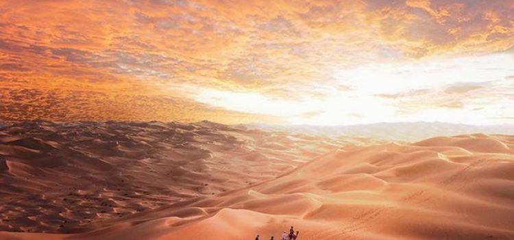 Know about the unknown things of Desert Safari Dubai