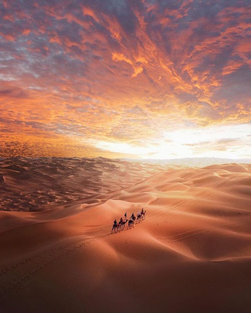 Know about the unknown things of Desert Safari Dubai
