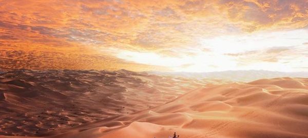 Have a memorable Desert Safari Experience