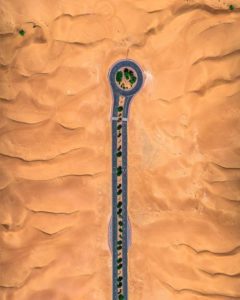 Why The Activities of Desert Safari Dubai Are The Most loved one