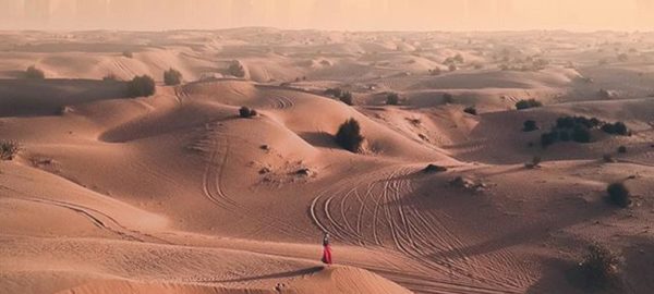 The Notable Desert Of Dubai Desert Safari