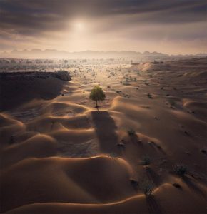 The best and unknown facts about overnight camping at desert safari