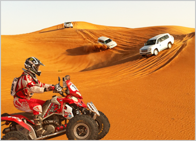 All The Different Things You Can Do In Desert Safari