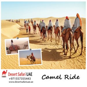 The Dubai Dessert Safari trip in Dubai that you will enjoy