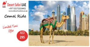Interesting Packages of Dubai Desert Safari