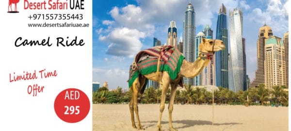 Interesting Packages of Dubai Desert Safari