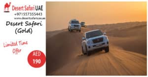 THRILLING ACTIVITIES AT DUBAI DESERT SAFARI