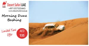 AN AMAZING ADVENTURE AT DUBAI DESERT SAFARI