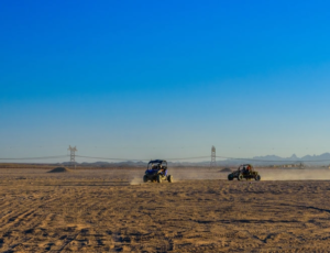buggy_bike