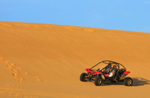 buggy_bike_1
