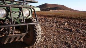 buggy_bike_4
