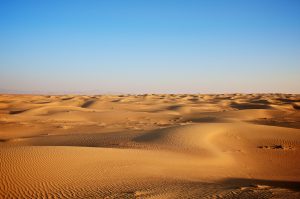 Overnight Desert Safari Camp15