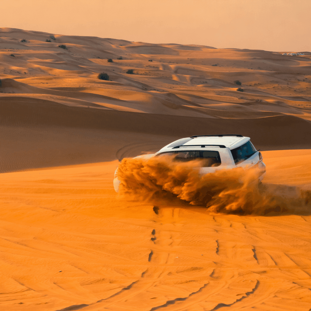 Sightseeing Tours from Dubai 13