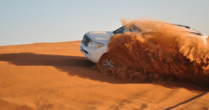 Tours from Dubai 14