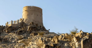 Sightseeing Tours from Dubai11