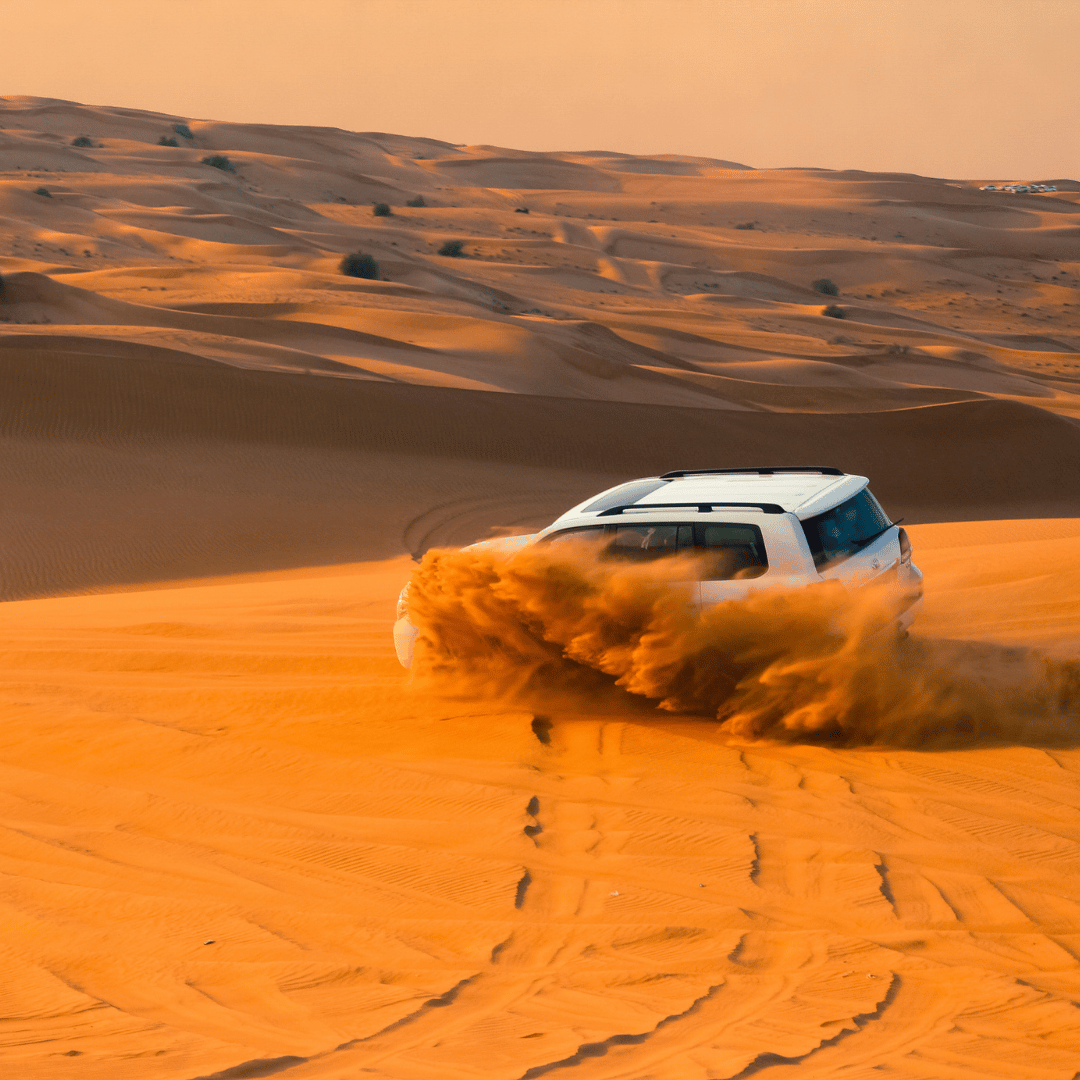 Luxury Safari 1 2