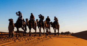 Abu Dhabi Tour Packages28