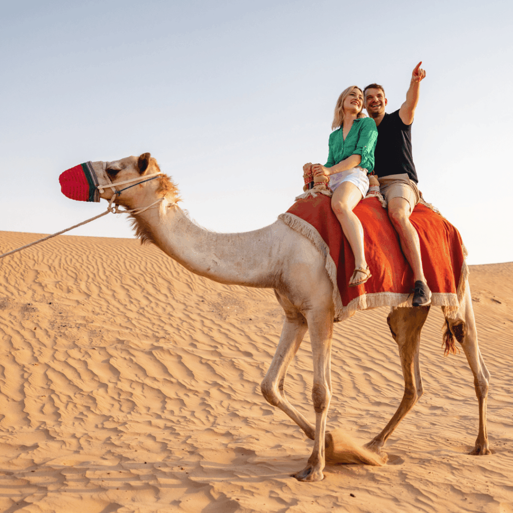 Abu Dhabi Tour Packages24