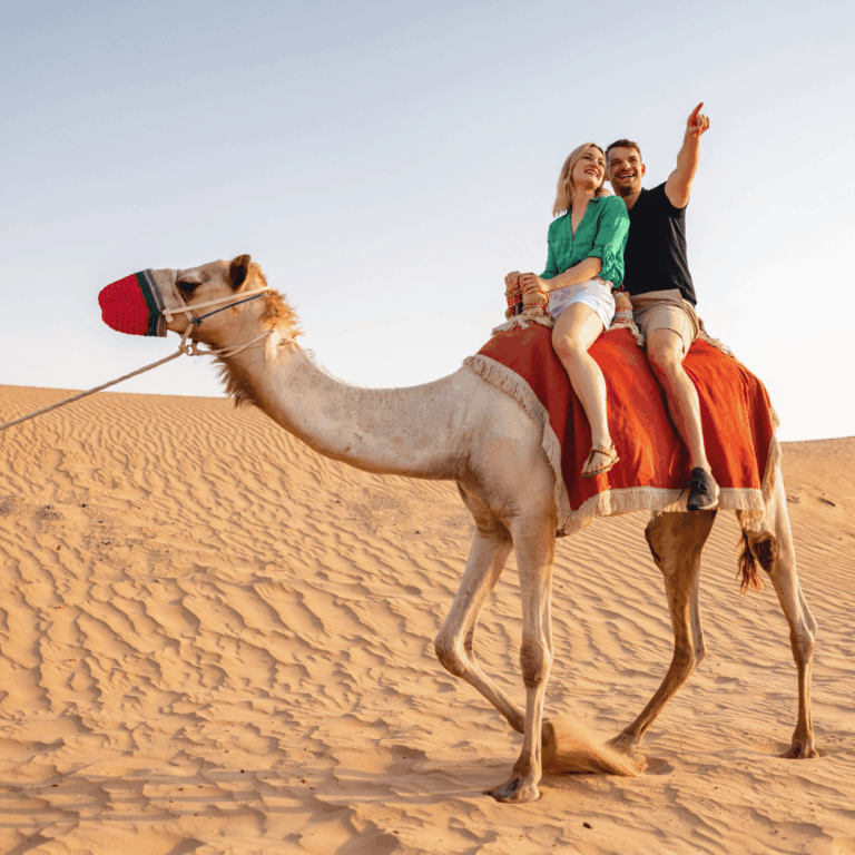 Sightseeing Tours from Dubai 14