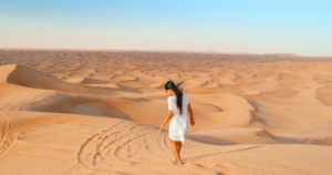 Tours from Dubai 6