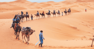 Abu Dhabi Tour Packages22