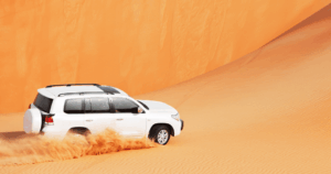 Sightseeing Tours from Dubai 12