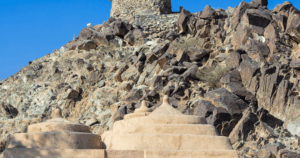Sightseeing Tours from Dubai18