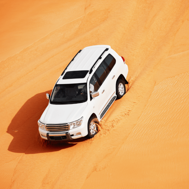 Sightseeing Tours from Dubai 11