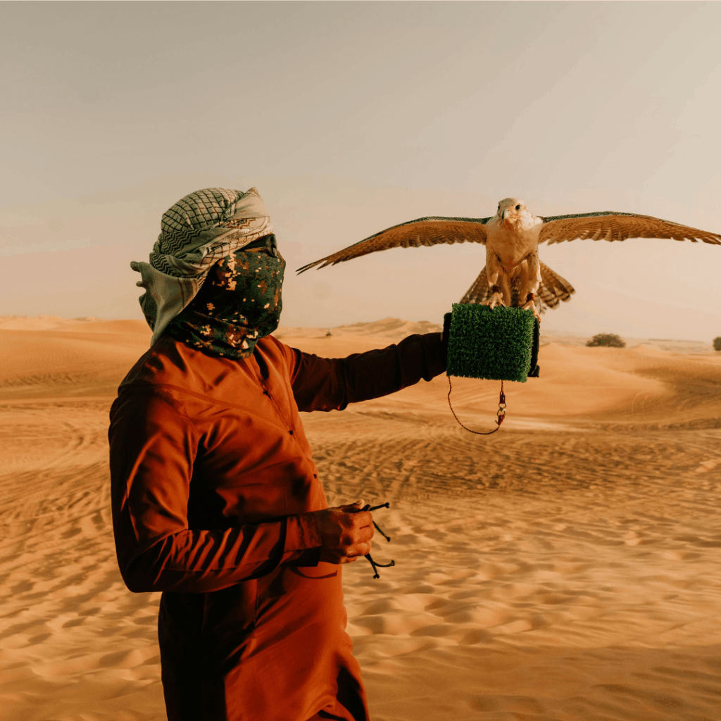 Abu Dhabi Tour Packages